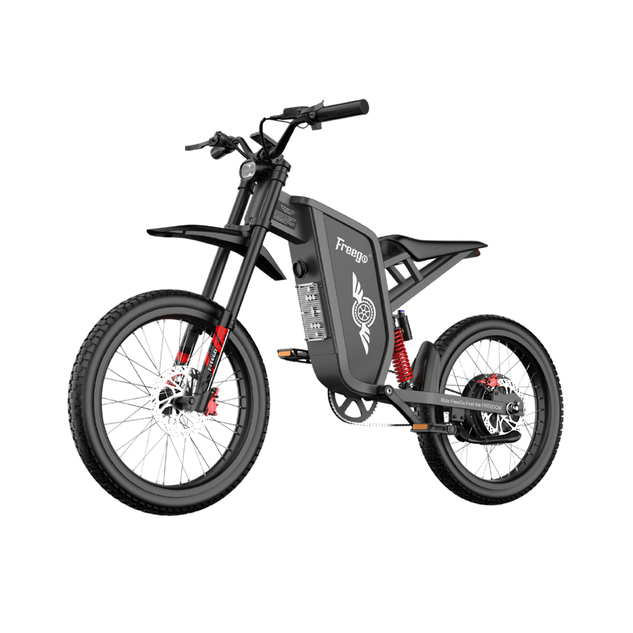 Freego X1 electric dirt bike