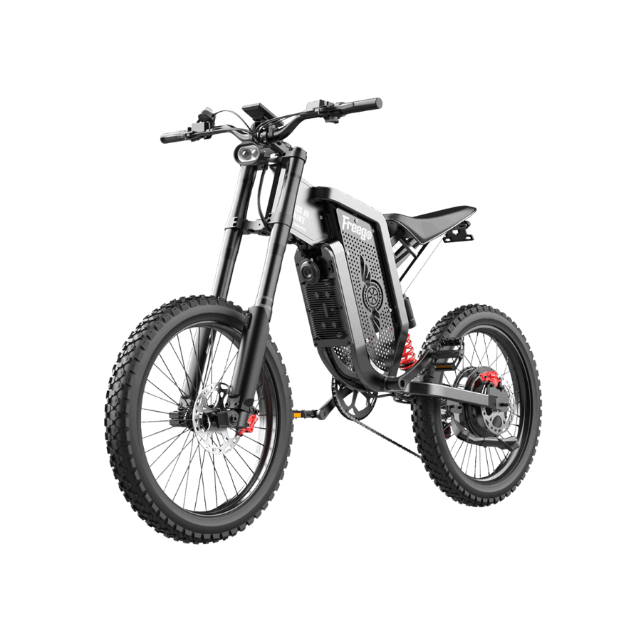 Freego X2 electric dirt bike