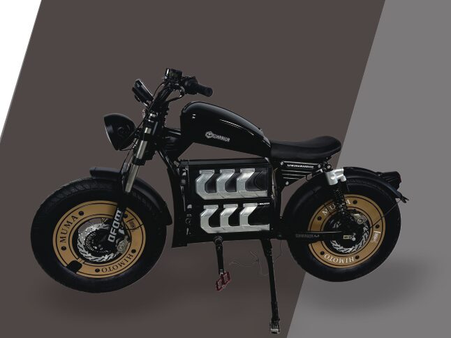Hornet Gold Edition electric motorcycle